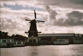 De Heesterboom