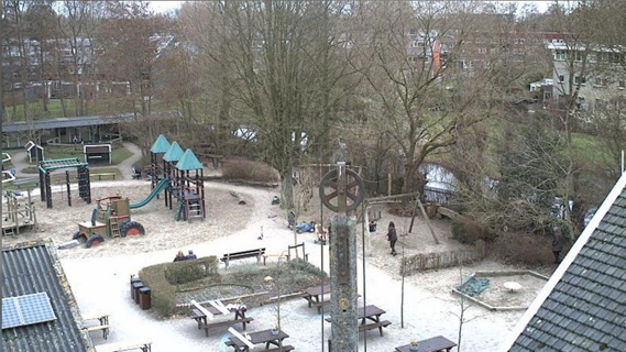 Kinderboerderij beeld van webcam