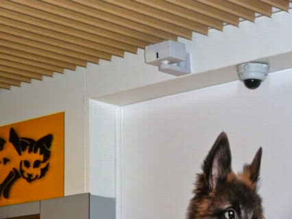Gouda Winkelcentrum Bloemendaal Diertotaal Utopia